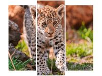 90 80CM OBRAZ T3 ELEM MAYRA TAMBAKO THE JAGUAR DRUK ŚCIENNY