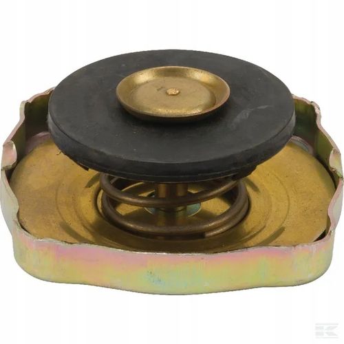 Korek Chłodnicy Case-Steyr 137700530702 na Arena.pl