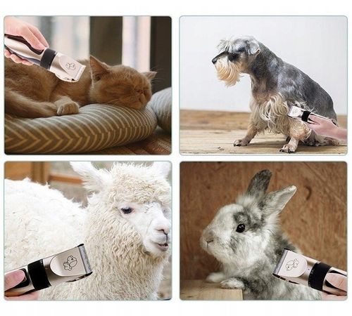 MASZYNKA DO STRZYŻENIA PSÓW PSA KOTÓW ZWIERZĄT ZESTAW 12 MOCNA BATERIA na Arena.pl