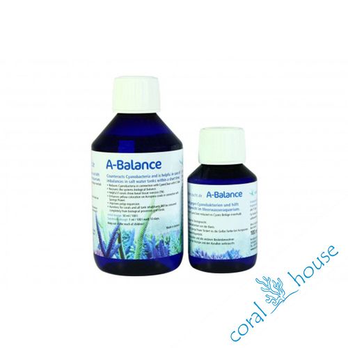 Korallen Zucht A-Balance 100 ml na Arena.pl