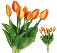 product-compare-61700089