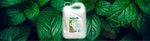 LUDWIK Płyn do mycia naczyń miętowy 5 kg na Arena.pl