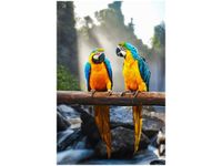 40X60CM TRZY ARY OBRAZ