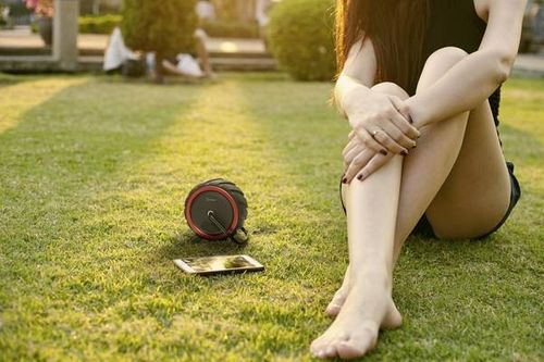 Głośnik Bluetooth Renkforce AdventureWheel1 na Arena.pl