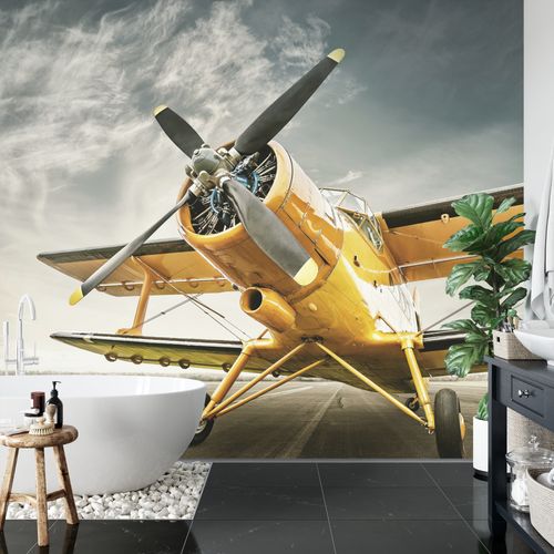 Fototapeta Zabytkowy Samolot Flizelina 400x280 na Arena.pl