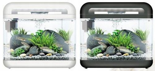 INVITAL EasyTank CASCADE LED 7 litrów czarny na Arena.pl