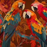 Plakat 70x70cm Kolorowe Ary