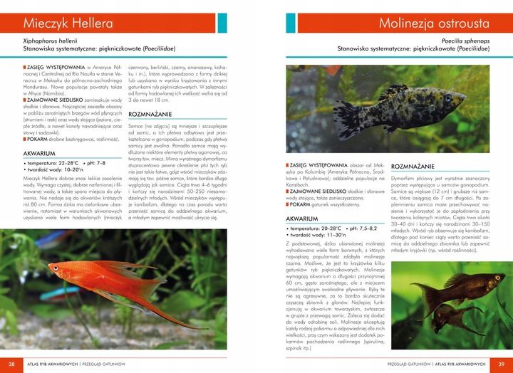 ATLAS RYB AKWARIOWYCH 150 GATUNKÓW Maja Prusińska TWARDA w.2023 zdjęcie 4