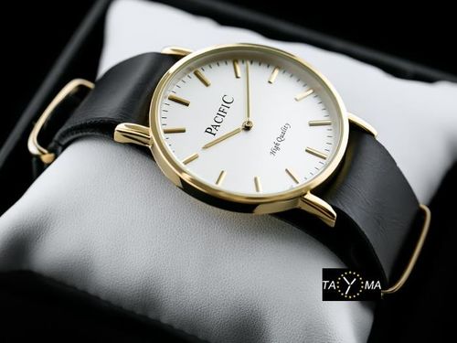 PACIFIC A268 (zy554b) na Arena.pl