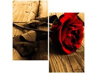 product-compare-58646758