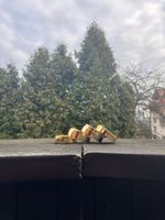młynek miedziany 4-elementowy pokryty złotem + pudełko ozdobne + certyfikat