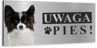 Tabliczka UWAGA ZŁY PIES - PAPILLON aluminiowa UV