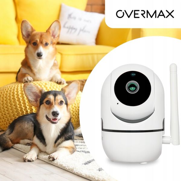 KAMERA DLA PSA KOTA DO OBSERWACJI MONITORING DOMU APLIKACJA Karta SD GRATIS zdjęcie 9