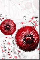 100 70CM OBRAZ PŁÓTNO CZERWONE DMUCHAWCE PŁÓTNO RAMA