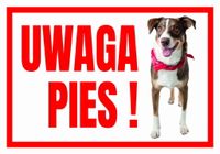 UWAGA PIES ! TERRIER - Tabliczka ostrzegawcza