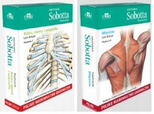 Anatomia Sobotta Flashcards. Mięśnie. Bräuer L. na Arena.pl