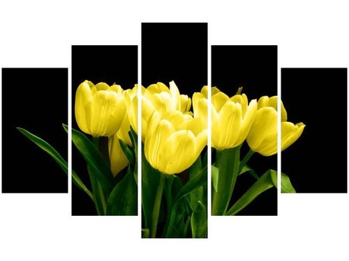 70 100CM OBRAZ 5 ELEM ŻÓŁTE TULIPANY- MARK FREETH DRUK PŁÓTNO na Arena.pl