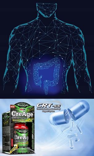 Mocna Kreatyna Tabletki Booster Testosteronu - Odżywki na Mięśnie Siłę Masę na Arena.pl