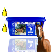 Horslyx Original Masa Energetyczna Dla Koni W Formie Bloków 15kg