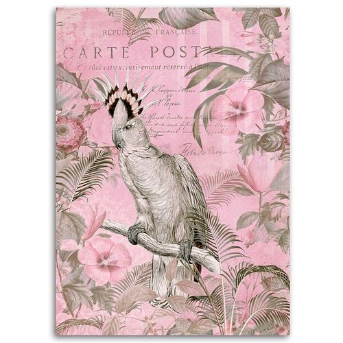 Deco Panel, Królowa papug 50x70 na Arena.pl