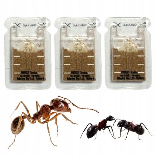 SILNY PROSZEK ŚRODEK PREPARAT TRUTKA NA MRÓWKI FARAONA PROTECT 3 SZT na Arena.pl