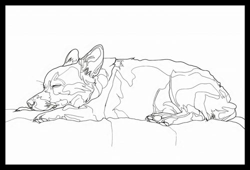 Plakat 45x30cm Śpiący Psiak na Arena.pl