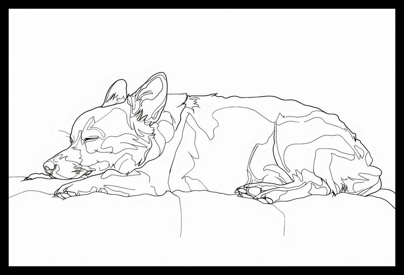 Plakat 45x30cm Śpiący Psiak zdjęcie 2