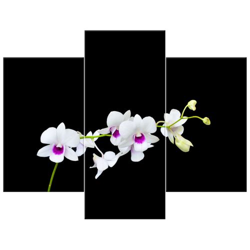 Obraz Płótno 90X70 Gałązka Storczyka na Arena.pl
