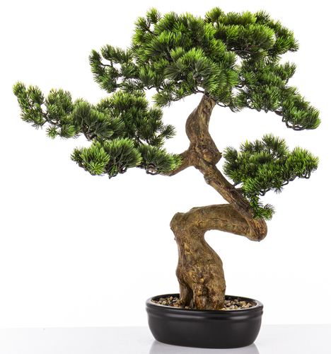 Kup Sztuczne drzewko Bonsai Premium w doniczce 65x60x35 na arena.pl i ciesz  si nisk cen