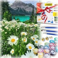 Zestaw do malowania po numerach - kwiaty w górach