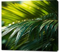 Obraz 100x90cm Zielona Kondensacja