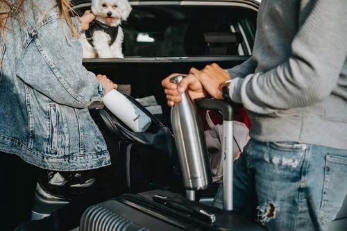 Butelka Termiczna Original 750 ml BPA FREE 12/24H - Grey / Szara na Arena.pl