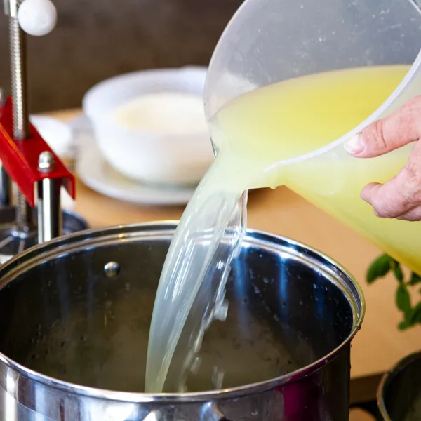 Chlorek wapnia do sera, 10 g zdjęcie 9