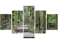 OBRAZ JAPOŃSKA ŚCIEŻKA PRZEZ LAS