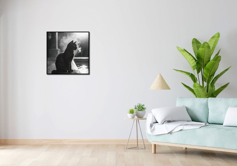 Plakat 60x60cm Kocia Przerwa zdjęcie 4
