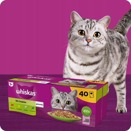 MOKRA KARMA WHISKAS MIX SMAKÓW W GALARETCE SASZETKI 40X85G na Arena.pl