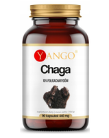Yango Grzyb CHAGA ekstrakt wsparcie: ODPORNOŚĆ PRZECIW BAKTERIOM 90kaps