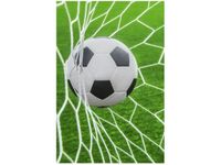 40X60CM PIŁKA BRAMCE OBRAZ