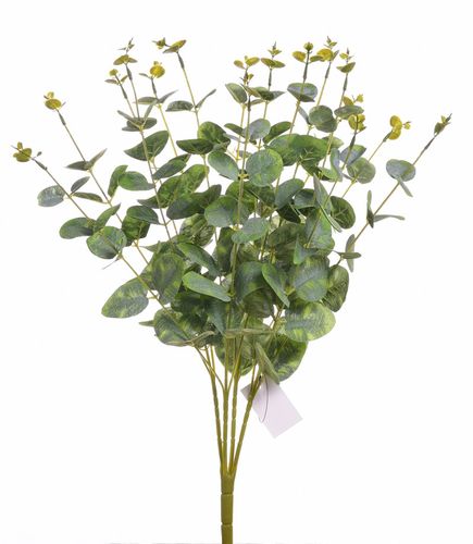 Eukaliptus bukiet powder green na Arena.pl