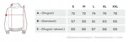 Brązowa męska bluza z kapturem BASIC HOODIE 152 T BROWN rozmiar L na Arena.pl