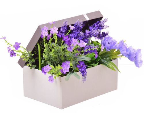 Flower box lawendowy na Arena.pl