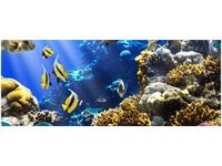 product-compare-58644928