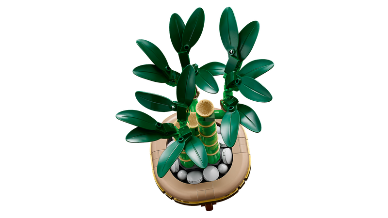 LEGO Botanical Collection Dracena sandera w doniczce 10344 zdjęcie 4