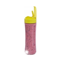 BLENDER NOVEEN SB210 300W 0,6L KRUSZENIE MIELENIE MIESZANIE MIKSOWANIE