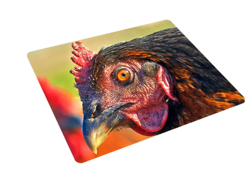 Podkładka pod myszkę Kury na Arena.pl