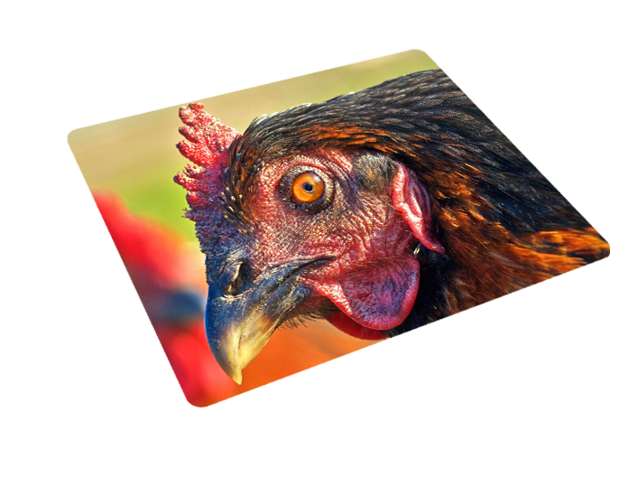 Podkładka pod myszkę Kury zdjęcie 3
