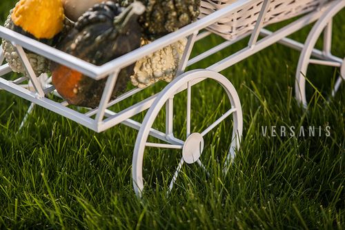 Kwietnik Wózek do ogrodu na Arena.pl