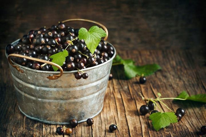 Nawóz do truskawek Florovit 3kg zdjęcie 15