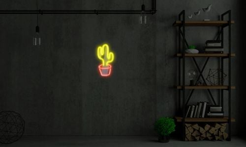 Neon Kaktus LED na Arena.pl