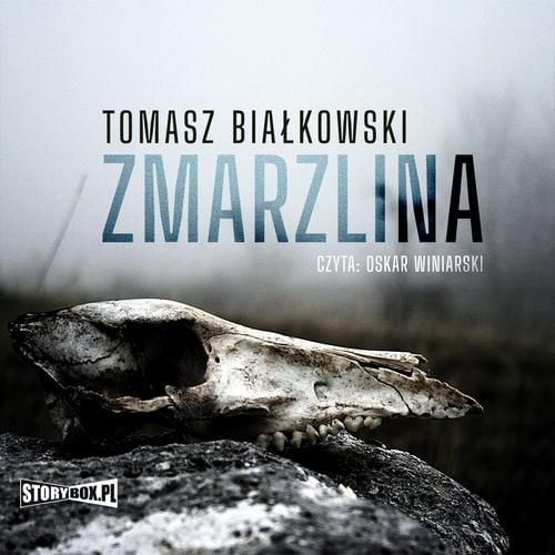 (mp3) Zmarzlina zdjęcie 1